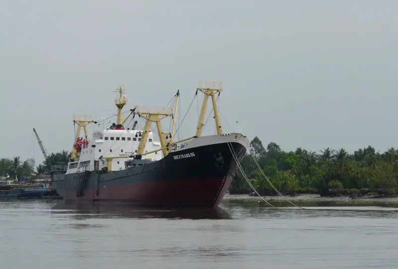AN THINH PHU 08 General Cargo IMO 9525675 photo 5