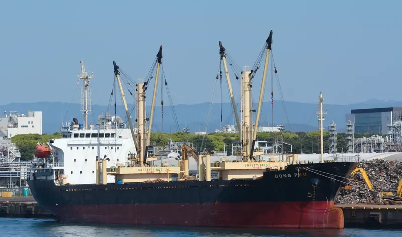 DONG PHU General Cargo IMO 9525687 photo 7