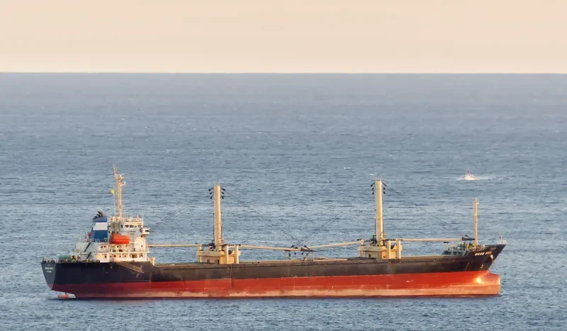 DONG PHU General Cargo IMO 9525687 photo 8