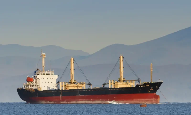 DONG PHU General Cargo IMO 9525687 photo 9