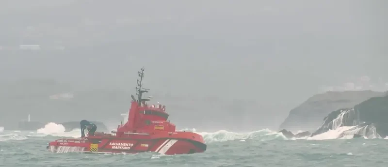 SAR GAVIA General Cargo IMO 9525742 photo 6