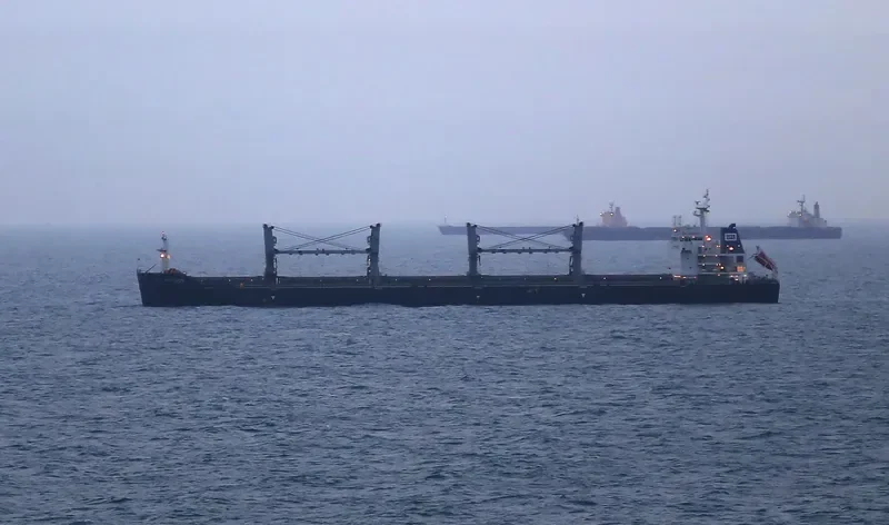 SFL HUDSON Bulk Carrier IMO 9525821 photo 2