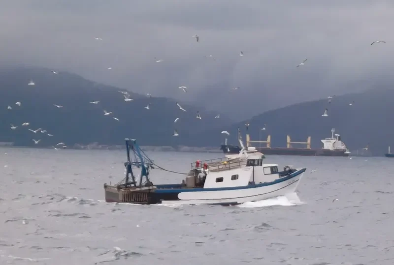 BENDE Offshore Vessel IMO 9526136 photo 6