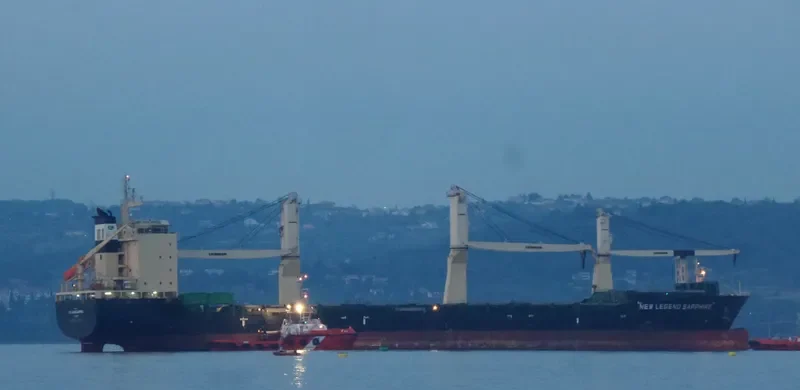 LIBERTY HARVEST General Cargo IMO 9526291 photo 2
