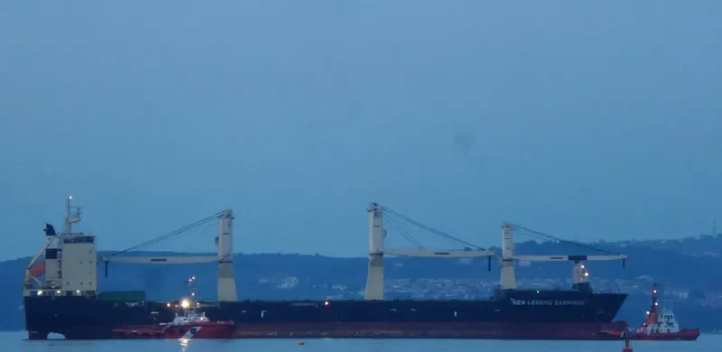 LIBERTY HARVEST General Cargo IMO 9526291 photo 3
