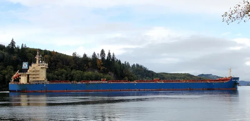 INDIA VISION Bulk Carrier IMO 9526485 photo 2