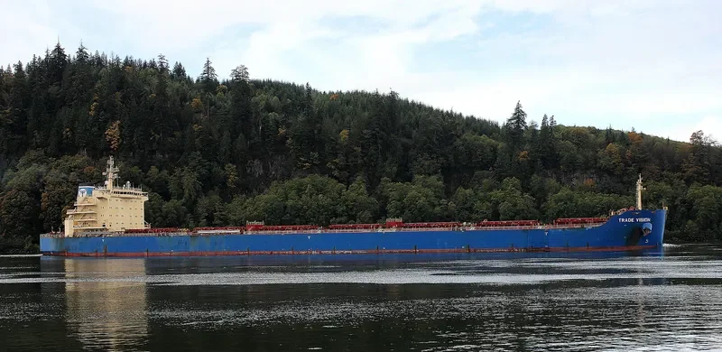 INDIA VISION Bulk Carrier IMO 9526485 photo 3