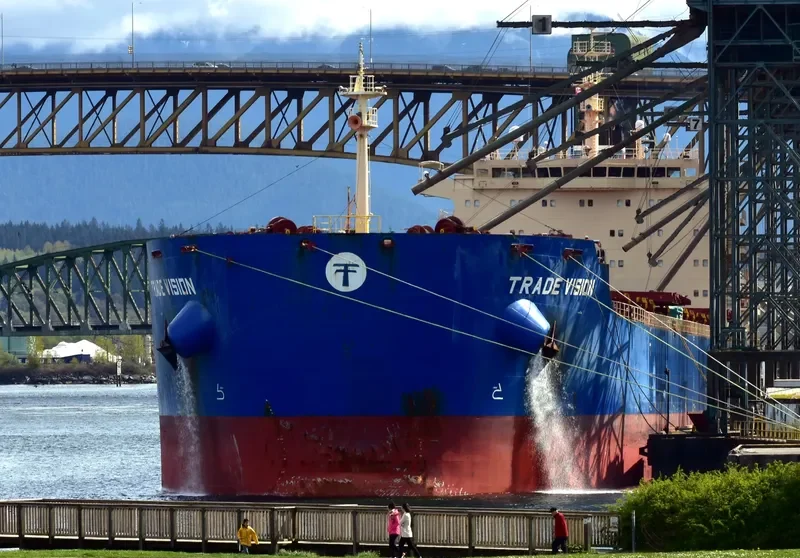 INDIA VISION Bulk Carrier IMO 9526485 photo 6