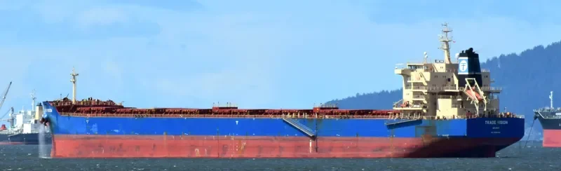 INDIA VISION Bulk Carrier IMO 9526485 photo 8