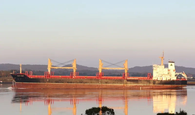 ORTOLAN ALPHA STRAIT Bulk Carrier IMO 9526564