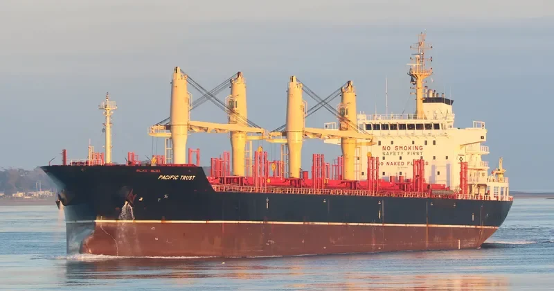 ORTOLAN ALPHA STRAIT Bulk Carrier IMO 9526564 photo 2
