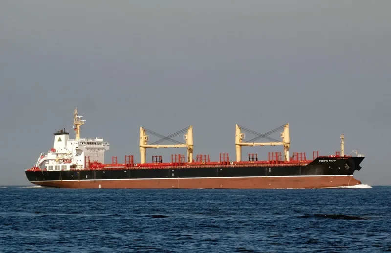 ORTOLAN ALPHA STRAIT Bulk Carrier IMO 9526564 photo 4