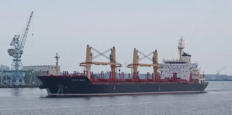 ORTOLAN ALPHA STRAIT Bulk Carrier IMO 9526564 photo 5