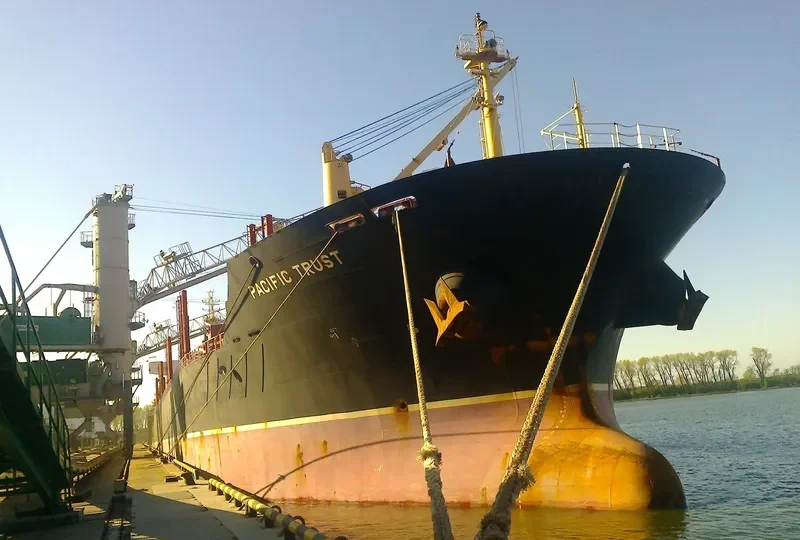 ORTOLAN ALPHA STRAIT Bulk Carrier IMO 9526564 photo 6