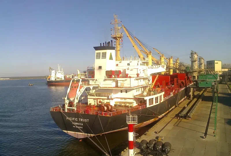 ORTOLAN ALPHA STRAIT Bulk Carrier IMO 9526564 photo 7