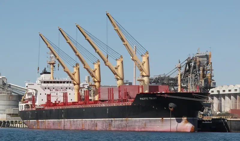 ORTOLAN ALPHA STRAIT Bulk Carrier IMO 9526564 photo 8