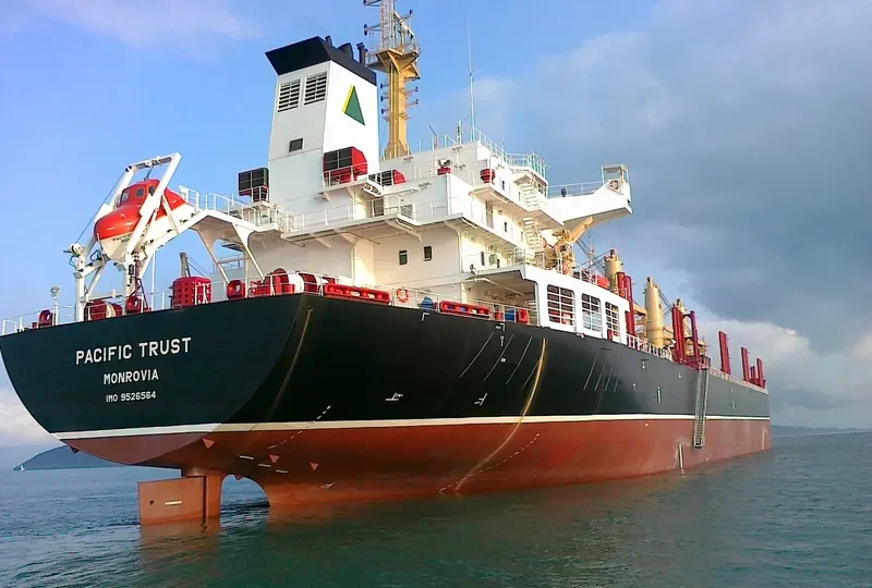 ORTOLAN ALPHA STRAIT Bulk Carrier IMO 9526564 photo 9