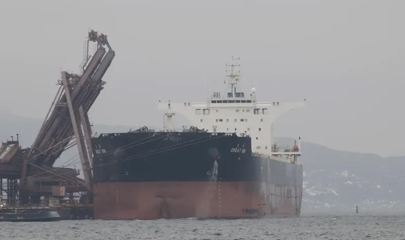 GREAT QIN Bulk Carrier IMO 9526667 photo 2