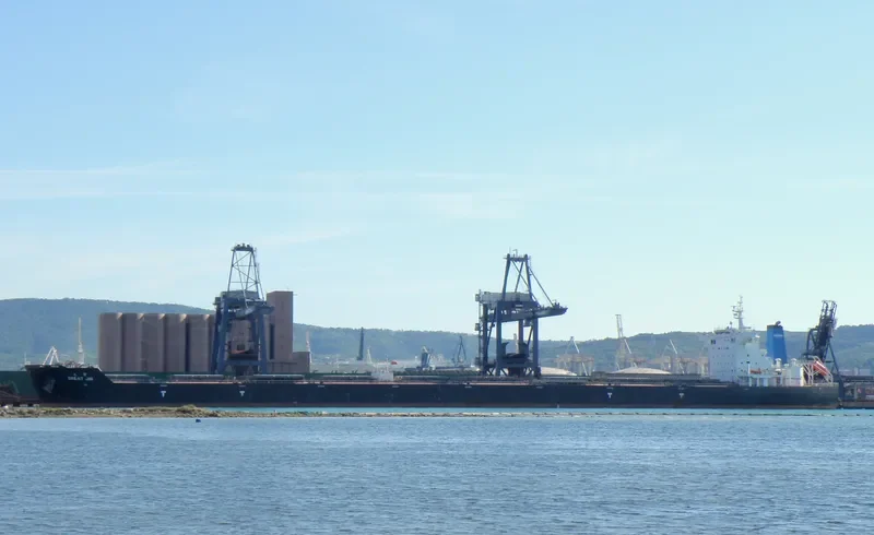 GREAT JIN Bulk Carrier IMO 9526679 photo 2