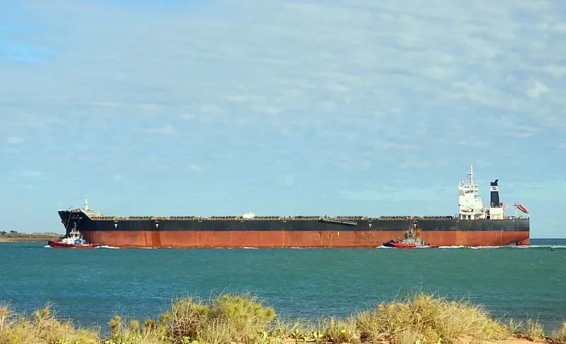 GREAT JIN Bulk Carrier IMO 9526679 photo 4