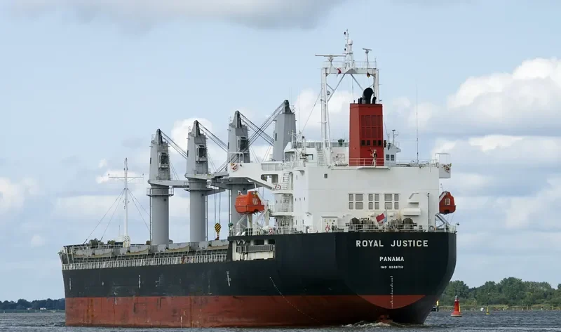 RADIUS Bulk Carrier IMO 9526710 photo 2