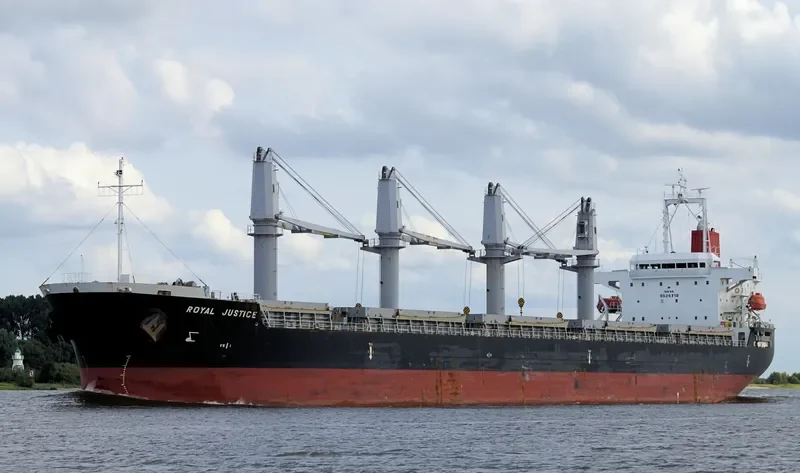 RADIUS Bulk Carrier IMO 9526710 photo 4