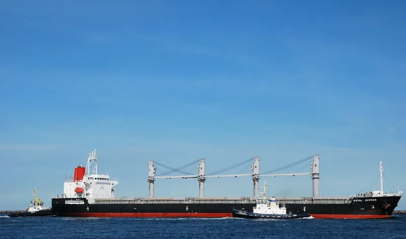 RADIUS Bulk Carrier IMO 9526710 photo 6