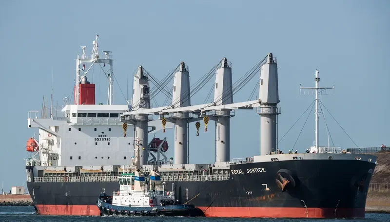RADIUS Bulk Carrier IMO 9526710 photo 8