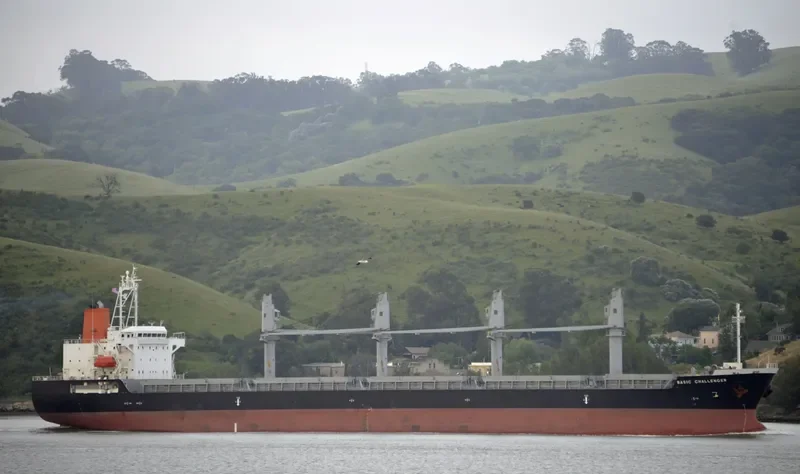 BASIC CHALLENGER Bulk Carrier IMO 9526722 photo 8