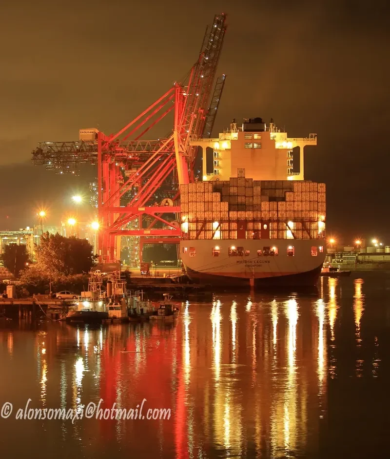 MAERSK LAGUNA Container Ship IMO 9526942 photo 10