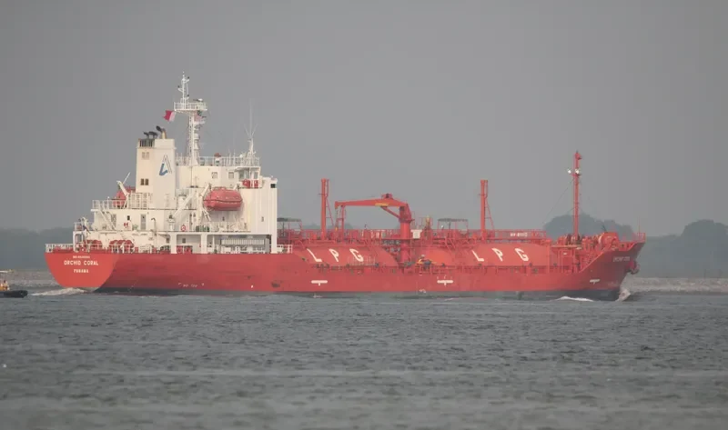 ORCHID CORAL General Cargo IMO 9526980