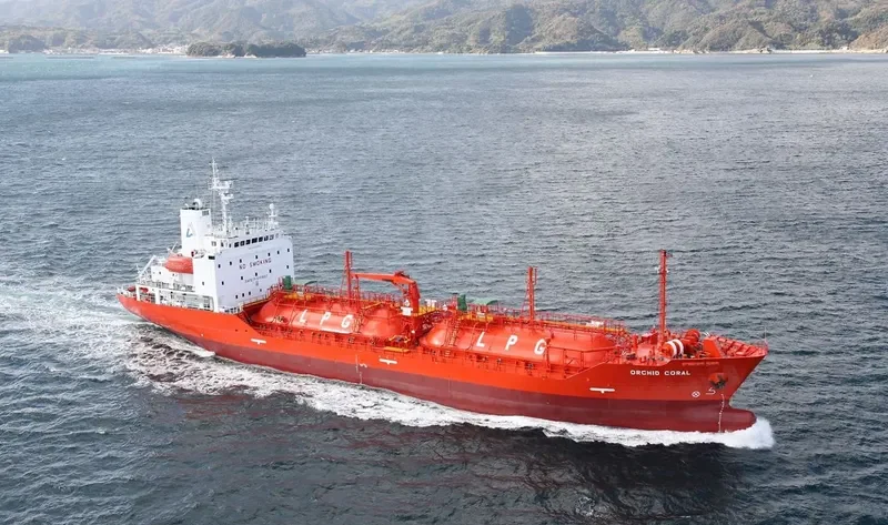 ORCHID CORAL General Cargo IMO 9526980 photo 3