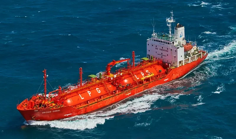 ORCHID CORAL General Cargo IMO 9526980 photo 6