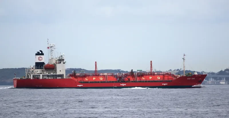 GAS ONE General Cargo IMO 9527001 photo 6