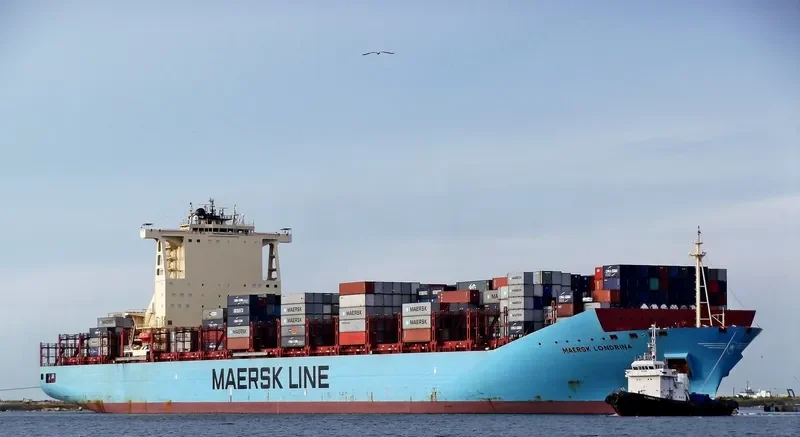MAERSK LONDRINA Container Ship IMO 9527037 photo 10