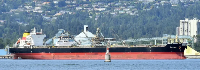 JIN MEI Bulk Carrier IMO 9527142 photo 4