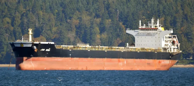 JIN MEI Bulk Carrier IMO 9527142 photo 5