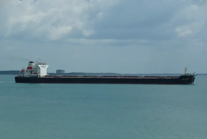JIN LANG Bulk Carrier IMO 9527154 photo 5