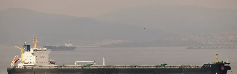 POPI S Bulk Carrier IMO 9527233