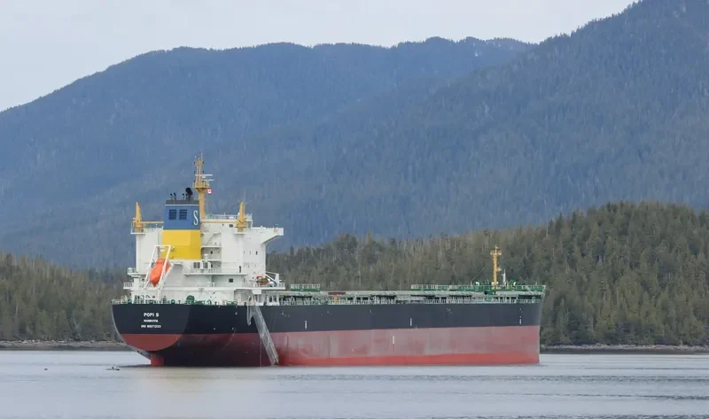 POPI S Bulk Carrier IMO 9527233 photo 9