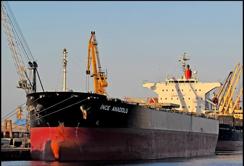 INCE ANADOLU Bulk Carrier IMO 9527271 photo 3