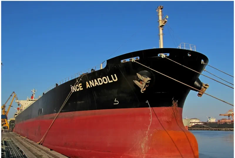 INCE ANADOLU Bulk Carrier IMO 9527271 photo 4