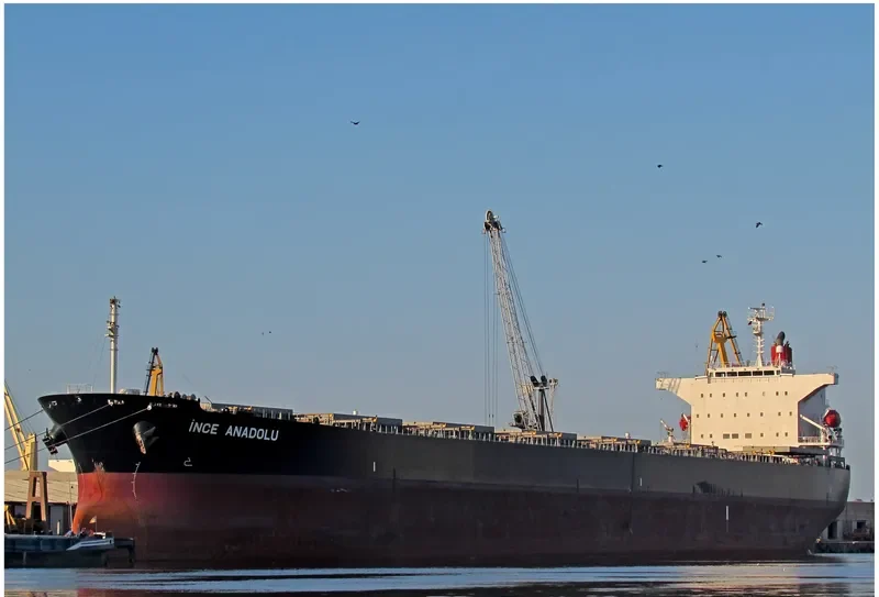 INCE ANADOLU Bulk Carrier IMO 9527271 photo 5