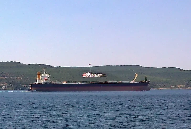 INCE ANADOLU Bulk Carrier IMO 9527271 photo 7