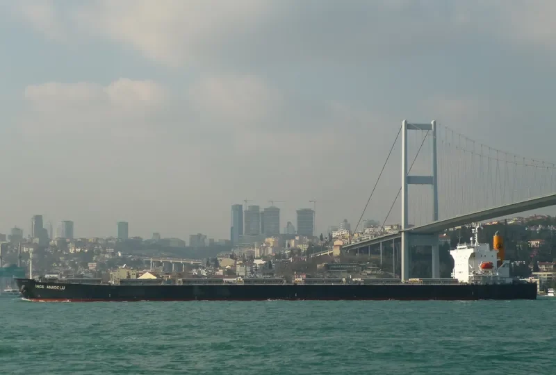 INCE ANADOLU Bulk Carrier IMO 9527271 photo 10