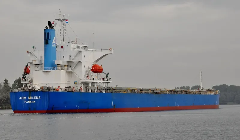 WISDOM DIVA Bulk Carrier IMO 9527283