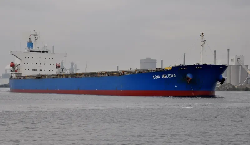 WISDOM DIVA Bulk Carrier IMO 9527283 photo 2