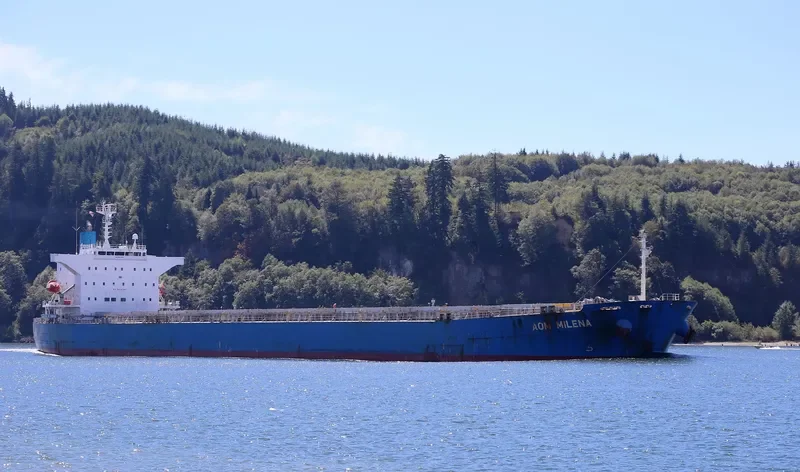 WISDOM DIVA Bulk Carrier IMO 9527283 photo 8
