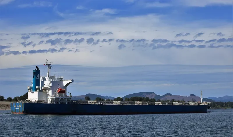 WISDOM DIVA Bulk Carrier IMO 9527283 photo 9