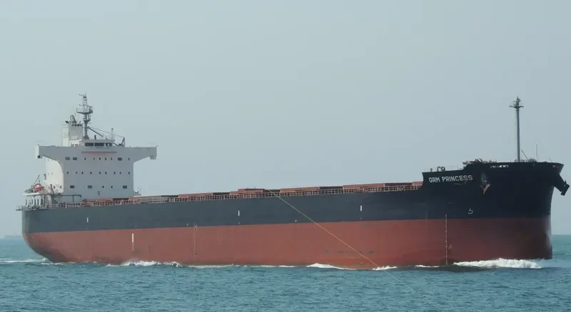 NEA ELPIS Bulk Carrier IMO 9527518